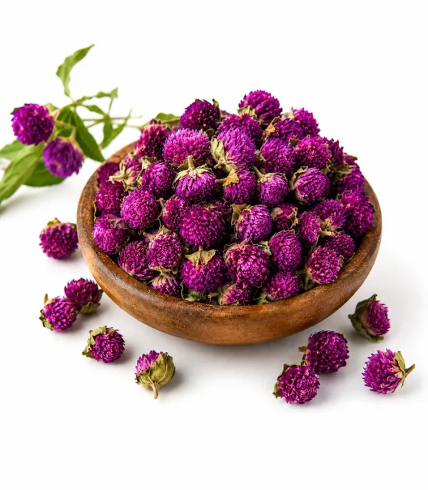 Сушені бутони гомфрени кулястої (Gomphrena), натуральний декор